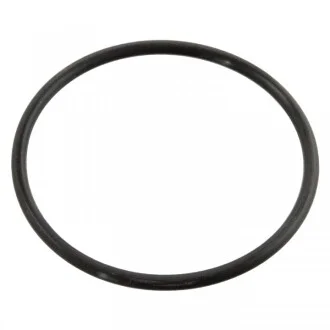Уплотняющее кольцо термостата FEBI BILSTEIN 10258