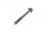 Комплект болтів для ланцюга ГРМ VAG 1,4 TSI (вир-во FEBI) FEBI BILSTEIN 103705 (фото 5)