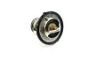 Термостат MAZDA (вир-во FEBI) C.I.U FEBI BILSTEIN 107707 (фото 1)
