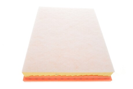 Фільтр повітряний BMW X5 (E70) 07-13/X6 (E71/E72) 3.0d 07-13 (M57) (opt-om) FEBI BILSTEIN 108741