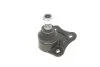 Опора шаровая AUDI A2,A3, SEAT TOLEDO II, VW BORA, GOLF IV 96-10 перед. мост справа (Пр-во FEBI) FEBI BILSTEIN 12660 (фото 3)