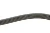 Ремінь генератора VW Caddy IV/V 15-/T7 2.0 TSi 21- (6PK1005) (opt-om) FEBI BILSTEIN 177991 (фото 4)