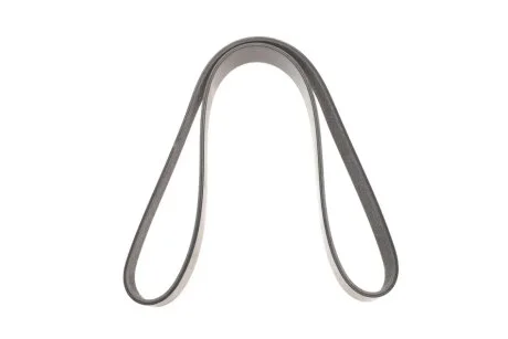 Пасок велоклиновий FEBI BILSTEIN 179891