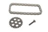Комплект ланцюга для масляного насоса BMW N47 D20 D (Febi) FEBI BILSTEIN 184820 (фото 1)