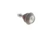 Опора шаровая CITROEN (пр-во Febi) FEBI BILSTEIN 21490 (фото 2)