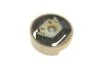 Подушка балки двигуна вгорі Audi; Seat; Skoda; VW (вир-во FEBI) C.I.U FEBI BILSTEIN 22766 (фото 3)