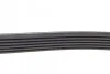 Ремінь генератора VW T5 1.9TDI/VW Caddy III 1.9/2.0TDI (+AC) (opt-om) FEBI BILSTEIN 34459 (фото 2)