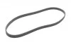 Ремінь генератора VW T5 1.9TDI/VW Caddy III 1.9/2.0TDI (+AC) (opt-om) FEBI BILSTEIN 34459 (фото 3)
