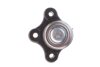 Опора шаровая FORD RANGER, MAZDA B-SERIE 96-15 перед. FEBI) FEBI BILSTEIN 42398 (фото 3)