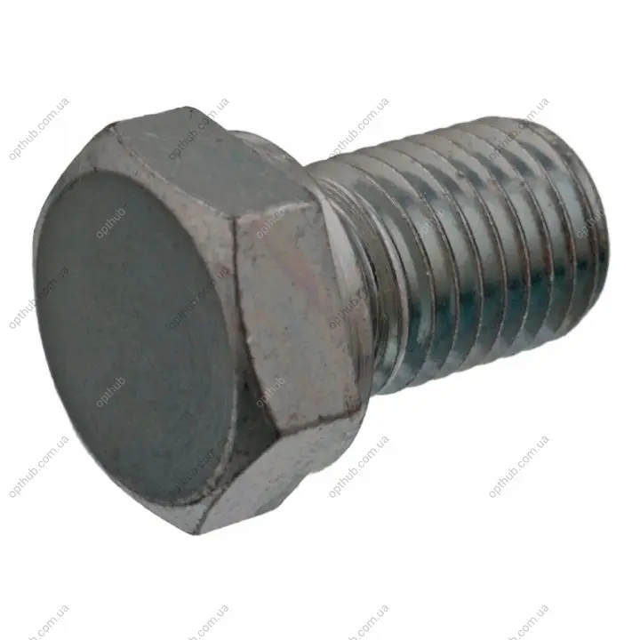 Пробка зливу оливи FEBI BILSTEIN 48893 (фото 1)