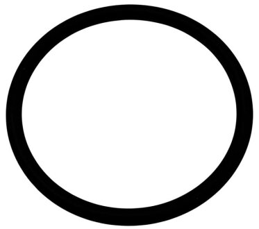 Прокладка впускного кільця Fiat/Alfa/Lancia 14471080