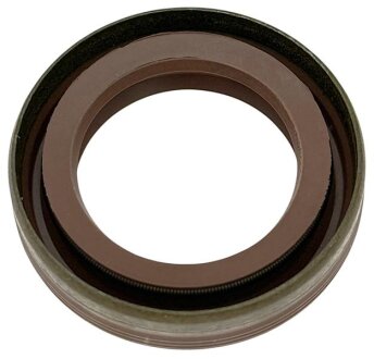 Прокладка двигуна Fiat/Alfa/Lancia 55250937