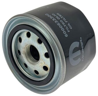 Фільтр масляний Fiat/Alfa/Lancia 6000633300