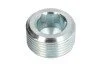 Пробка сливная поддона двигателя Fiat Doblo FIAT Fiat/Alfa/Lancia 7734022 (фото 1)