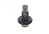 Болт зливу оливи Ford Mondeo 94-07 (M12x1.75) FA1 (opt-om) Fischer Automotive One (FA1) 862.363.001 (фото 1)