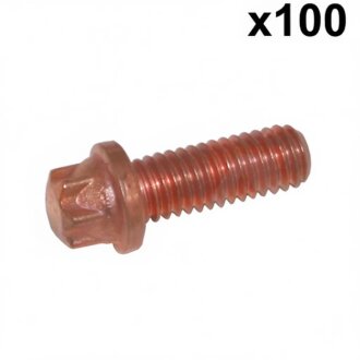 Болт з головкою системи TORX з чорного металу Fischer Automotive One (FA1) 982-T06-516.100