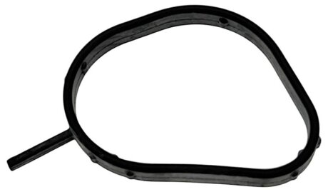 Прокладка системи охолодженн FORD 1557898