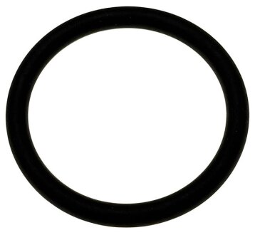 Кільце корпусу термостата FORD 1720281