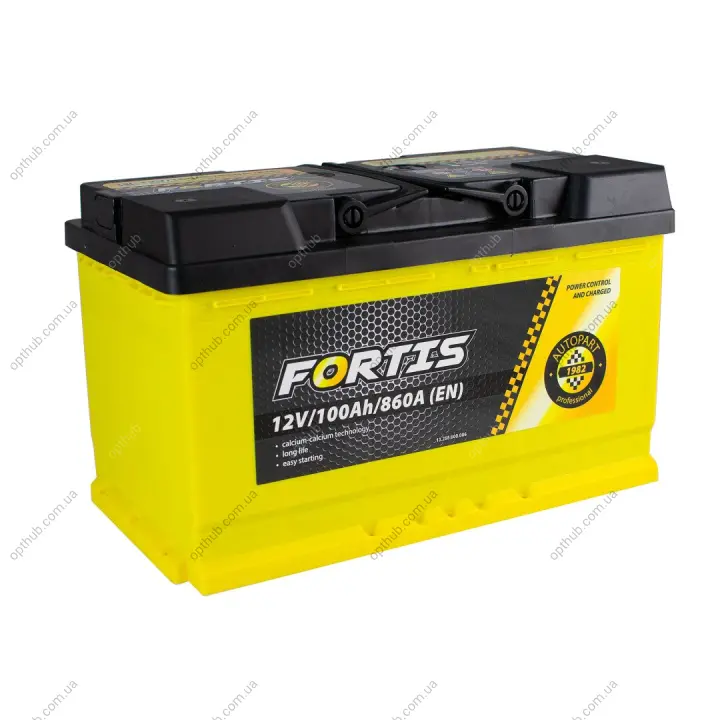 100 Ah/12V FORTIS (0) Euro_L4 короткий Fortis FRT100-L4-00 (фото 1)