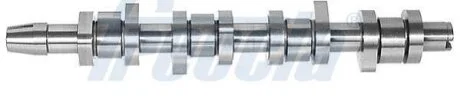 Вал розподільчий VAG 1.9TDI BLS/BPZ/BMM/BMT/BRC/BJS СТАЛЬ FRECCIA CM05-2127