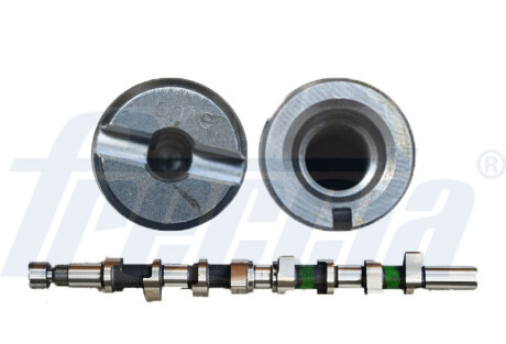 Вал розподільчий RENAULT F9Q650/670/674/826 FRECCIA CM05-2234