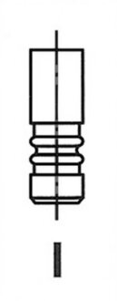 Клапан двигуна IN BMW M42B18/M52B28 32.9X6X106 -ua FRECCIA R4864/S