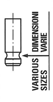 Клапан двигуна EX PSA TU5J4 24.5X6X104.4 -ua FRECCIA R4976/RCR