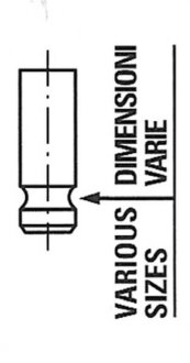 Клапан двигуна EX TOYOTA 24X6X102 1CD-FTV -ua FRECCIA R6184/RNT
