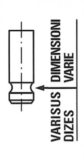 Клапан двигуна EX NISSAN YD22DDT/YD22DDTI/YD25DDTI 26X6X106.75 -ua FRECCIA R6285/RNT