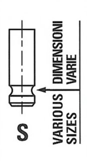 Впускний клапан FRECCIA R6370/SNT