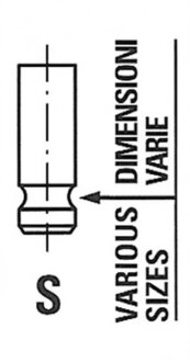 Впускний клапан FRECCIA R6555/SNT
