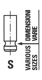 Впускний клапан FRECCIA R6700/RNT