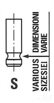 Клапан двигуна FRECCIA R6967/RNT