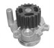 Помпа водяна AUDI A2 1,2 TDI; 1,4TDI A3 1.9 TDI '01-; VW GOLF V, TRANSPORTER 1,9 TDI '03-; POLO, LUPO FRECCIA WP0267 (фото 1)