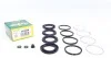 Ремкомплект суппорта (переднього) Honda Legend/Lexus GS 05-12 (d=43mm) (Advi) (opt-om) FRENKIT 243030