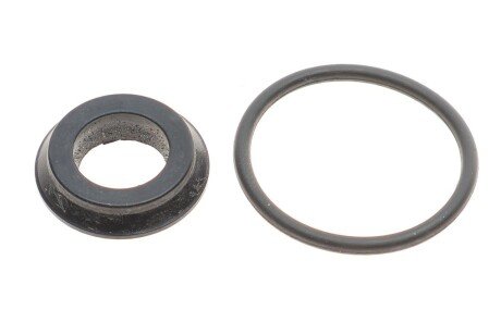 Ремкомплект циліндра зчеплення (головного) Peugeot 806/807 02- (d=19) (Fag) (opt-om) FRENKIT 419058