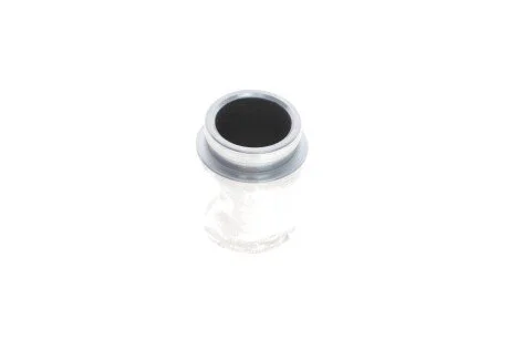 Поршень тормозного суппорта FRENKIT P384602