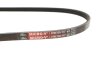 Ремень поликлиновой C.I.U Gates 3PK856SF (фото 3)