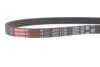 Ремінь поліклиновий AUDI Q7 (4MB, 4MG) SQ7 TDI QUATTRO/16-19 -ua Gates 4PK1138 (фото 4)