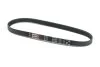 Ремень поликлиновый FORD ESCORT '95 FURGONATO (AVL) 1.8 D Gates 4PK655 (фото 1)
