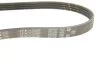 Ремень поликлиновый FORD FOCUS III 2.0/13- Gates 4PK705SF (фото 4)
