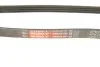 Ремень поликлиновый FORD FOCUS III 2.0/13- Gates 4PK705SF (фото 5)