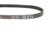 Поліклінові ремені Micro-V StretchFit (Вир-во) Gates 4PK711VSF (фото 3)