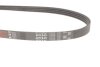 Ремінь поліклін. Gates 4PK845 (фото 2)