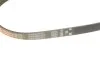 Ремінь генератора Ford Focus III/IV 2.0 ST/2.3 RS 12- (4PK890) GATES (opt-om) Gates 4PK890SF (фото 4)