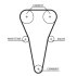 Ремінь зубчастий (довж. 60-150) KIA CARENS, RIO SHUMA 1.5I,1.6I 16V 01.01-,02.09- -ua Gates 5567XS (фото 1)