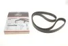 Зубчасті ремені приводу ГРМ PowerGrip (Вир-во) C.I.U Gates 5649XS (фото 3)