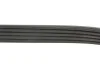 Ремень поликлин. DAEWOO ESPERO, LANOS (пр-во) Gates 5PK1013 (фото 4)