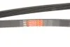 Поліклінові ремені Micro-V (Вир-во) Gates 5PK1650 (фото 5)