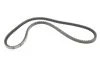 Ремень клиновидный (дл. 60-180) CITROEN, DAF, DAIHATSU, FERRARI, FIAT, FORD, HONDA, IVECO, LANCIA, MA Gates 6217MC (фото 1)